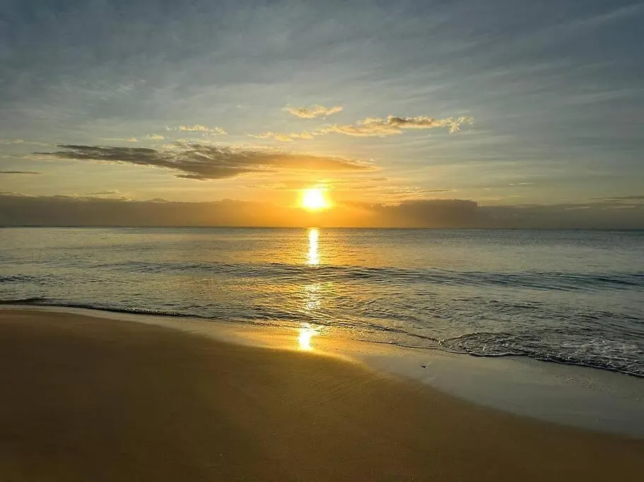 Mareazul Playa Del Carmen Daire